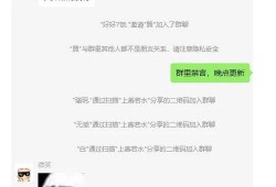 吃瓜二舅爸爸,一场家庭美食盛宴的温馨故事