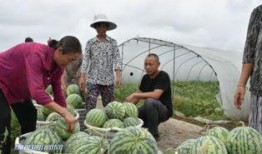 吃瓜群众果咖,揭秘娱乐圈幕后故事