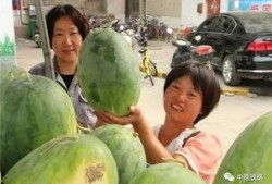 铁路医院吃瓜,一场别开生面的夏日盛宴