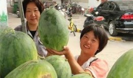 铁路医院吃瓜,一场别开生面的夏日盛宴