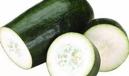 痛风患者可以吃瓜叶吗,瓜叶的适宜性探讨