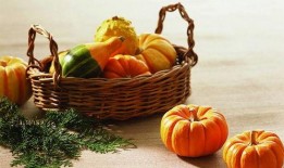 桔瓜南瓜怎么吃,创意烹饪指南