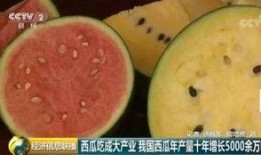 青年力量吃瓜群众