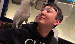 吃瓜事件曝光了吗,真相曝光，揭秘背后惊人内幕