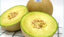 孕妇吃哈密瓜新闻