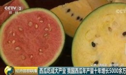 吃瓜群众等待中 啥意思,揭秘悬念背后的真相