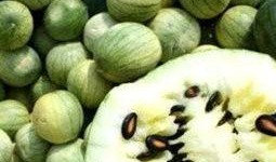 吃瓜黑色头像,揭秘吃瓜黑色头像背后的故事