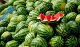 吃瓜达人图片图文,图解瓜界风云人物