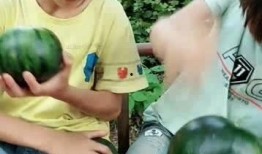 小伙只看吃瓜,揭秘网络热点的幕后故事
