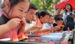 陶湾吃瓜比赛,一场别开生面的吃瓜盛宴