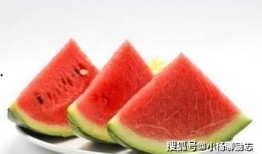 蒙阴吃瓜外卖事件,一场网络热议的食品安全风波