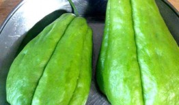 家里种的佛手瓜可以吃吗,美味与健康的绿色选择