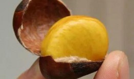 小栗子吃瓜,揭秘娱乐圈那些不为人知的幕后故事