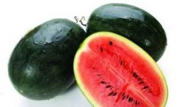 吃瓜646545700,646545700背后的秘密