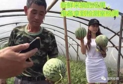 吃瓜群众直播视频,吃瓜群众带你领略直播界的真实一面