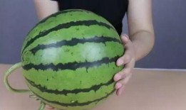 恩雨学习吃瓜,趣味学习新体验