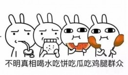 吃瓜群众内涵,揭秘“吃瓜群众”背后的社会现象与心理解读