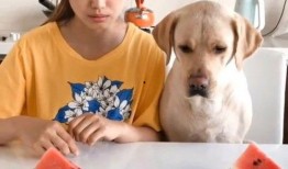 户外比赛吃瓜视频,吃瓜群众围观精彩瞬间