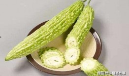 凉瓜小孩可以吃吗,营养与适宜性分析