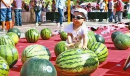 龙泉吃瓜群,揭秘网络社交圈的趣味与争议