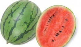 吃瓜还是不吃瓜好吃些,吃瓜还是不吃瓜？揭秘美味背后的选择之谜