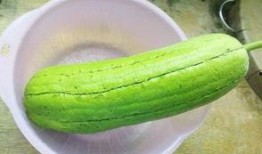 水瓜布怎么吃,水瓜布的多样食用方法探索