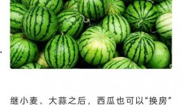 吃瓜新闻今日吃瓜