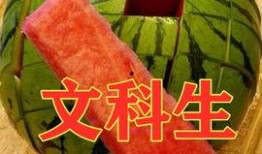 吃瓜体育生爬墙,揭秘校园生活趣事