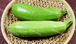 五月吃一瓜,五月瓜香满园时