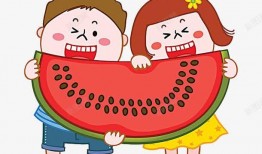 吃瓜装饰素材,装饰生活新风尚