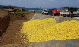 军人吃瓜群众,吃瓜群众眼中的军人生活