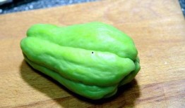 家里种的佛手瓜可以吃吗,美味与健康的绿色选择