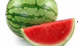 痛风患者可以吃瓜叶吗,瓜叶的适宜性探讨