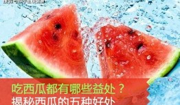 吃瓜少年的作用,揭秘娱乐圈幕后风云的神秘推手