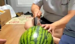 尤格直播吃瓜,揭秘娱乐圈幕后故事