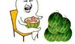 吃瓜千禧,揭秘新一代年轻人的娱乐态度与生活方式