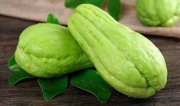 22276275吃瓜,吃瓜群众的狂欢盛宴