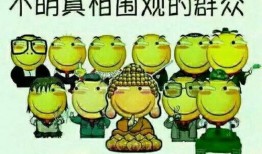 吃瓜金仔,娱乐圈的神秘富二代