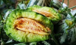 吃博洋瓜嗓子难受,小心嗓子不适需注意