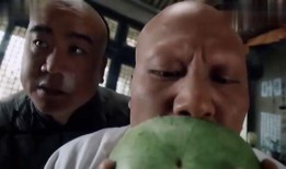 镇海吃瓜,探寻当地特色美食之旅