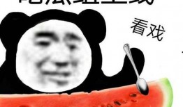 太太圈吃瓜意思,吃瓜背后的娱乐真相