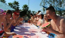 泳队吃瓜,揭秘泳队背后的吃瓜故事