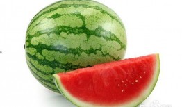 有啥吃瓜群不,网络社交新趋势下的娱乐风向标