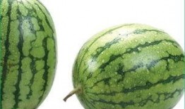 为何吃瓜会过敏,为何吃瓜也能引发过敏反应