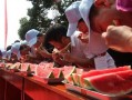 吃瓜大赛现状,全民狂欢背后的网络现象解析