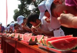吃瓜大赛现状,全民狂欢背后的网络现象解析