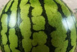 吃瓜表演游戏视频大全,全网热门吃瓜表演游戏视频大盘点