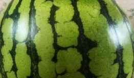 吃瓜表演游戏视频大全,全网热门吃瓜表演游戏视频大盘点