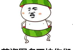 忙着吃瓜 表情包,网络时代的幽默风向标