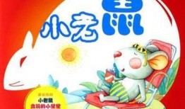 小老鼠吃瓜视频大全,萌趣横生的欢乐时光